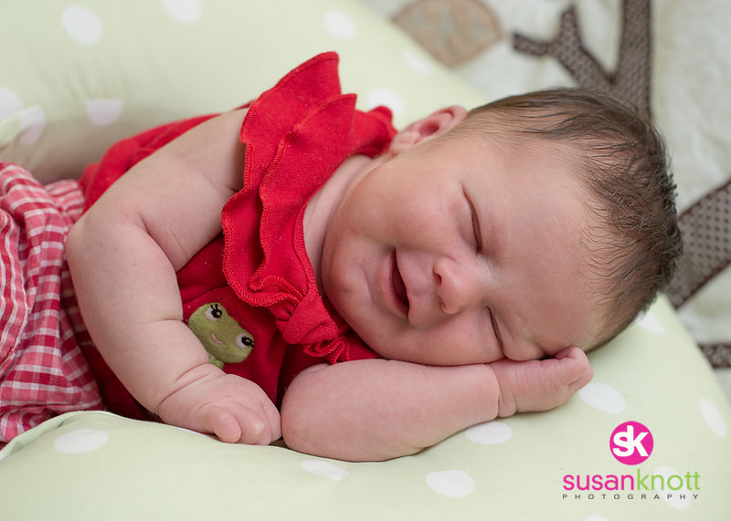 "Family Portrait Photography, Albany, NY", "Newborn Portraits", "Newborn photos", "Baby Pictures"