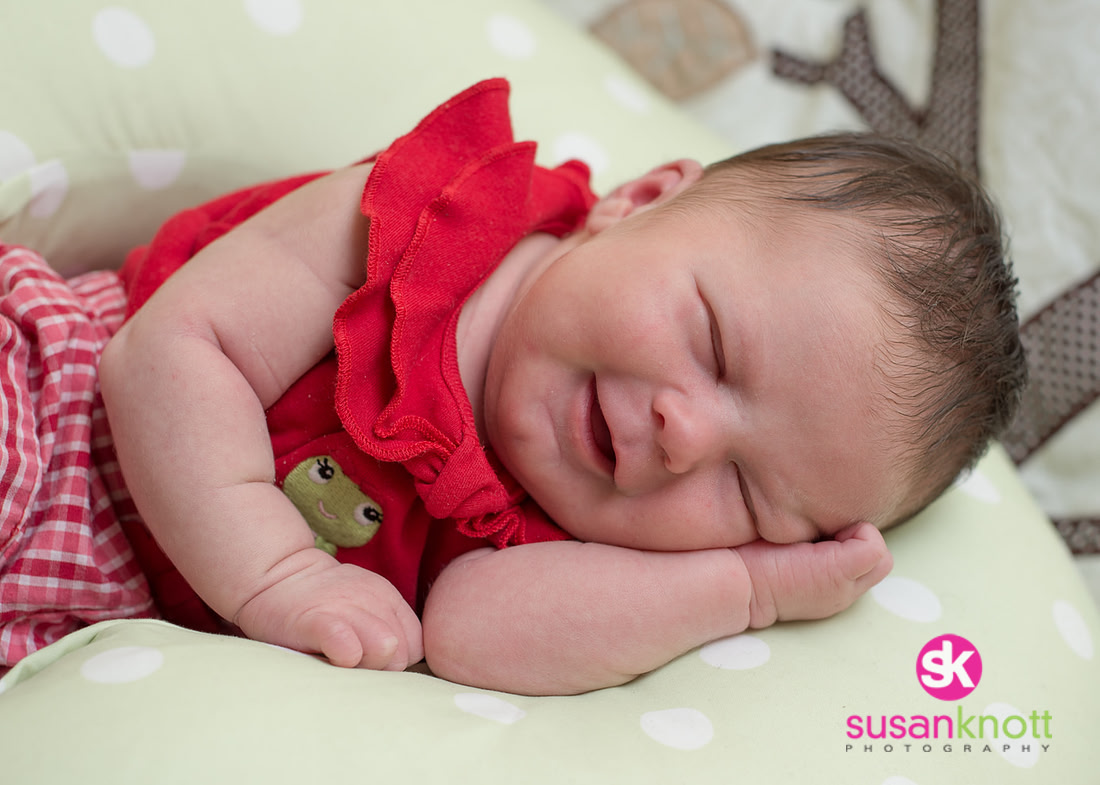 "Family Portrait Photography, Albany, NY", "Newborn Portraits", "Newborn photos", "Baby Pictures"