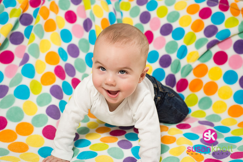 "Family Portrait Photography, Albany, NY", "Family Portraits", "Newborn Photos" "Twins photos"