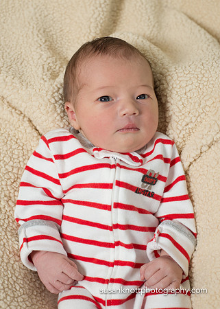 Newborn Photography, Albany, NY-Cooper