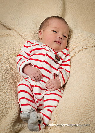 Newborn Photography, Albany, NY-Cooper