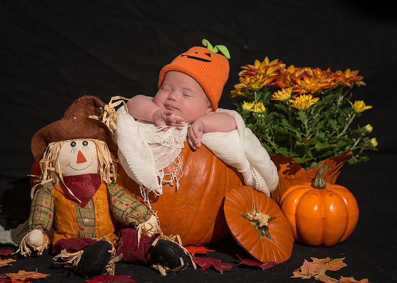 "Wedding Photography, Albany, NY", "Family Portraits", "Engagement Photos", "Senior Portraits", "Commercial Photography"