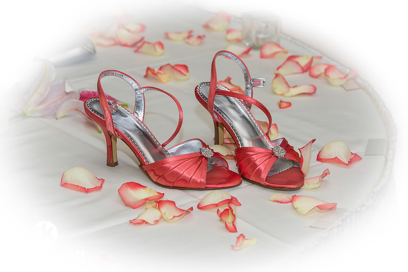 Wedding Photography, Schenectady, NY