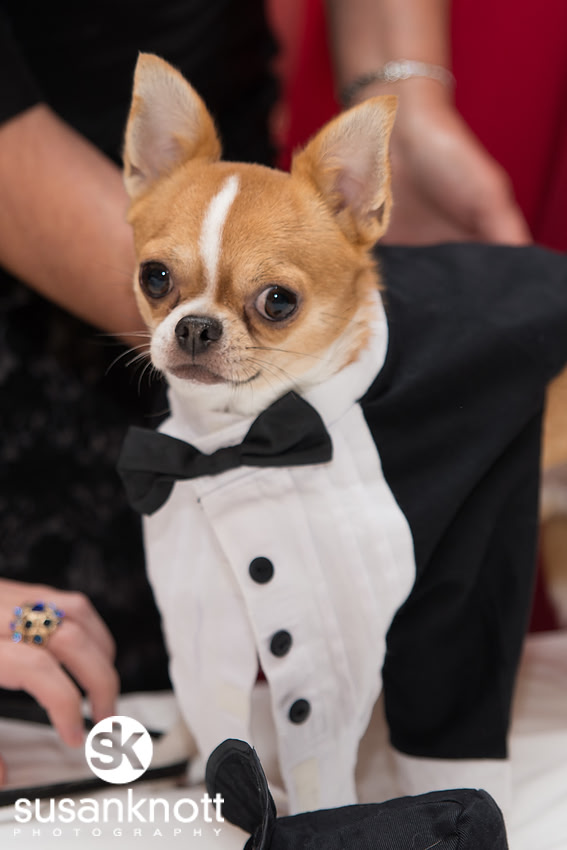 "Blessed Sacrament Church", "Mallozzi's Restaurant", "Wedding Photographers, Albany, NY", "Wedding Photos", "Wedding Pictures", "Wedding Portraits"