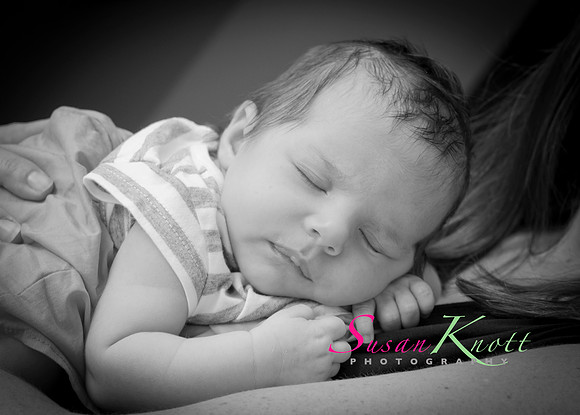 Family Portrait Photography