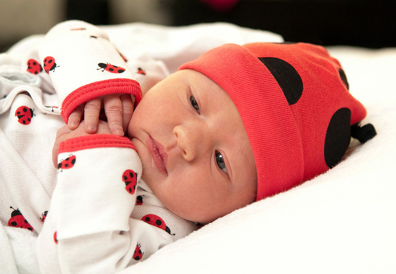 "Family Portrait Photography, Albany, NY", "Newborn Portraits", "Newborn Photography"