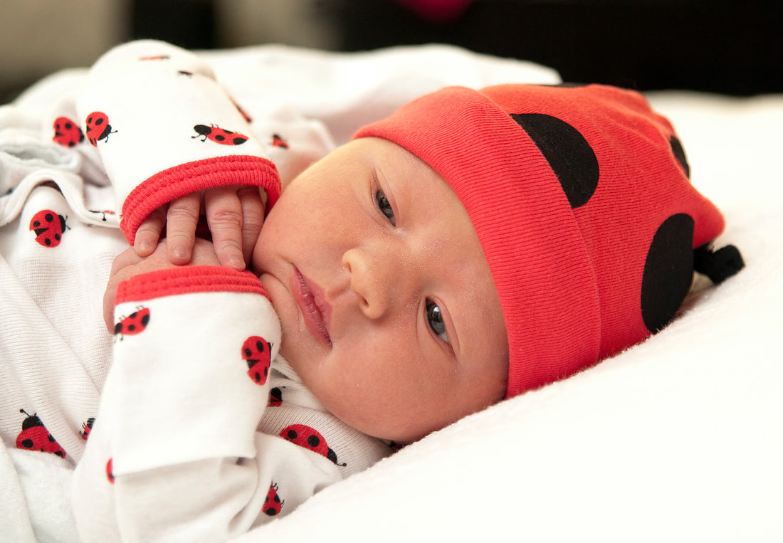 "Family Portrait Photography, Albany, NY", "Newborn Portraits", "Newborn Photography"