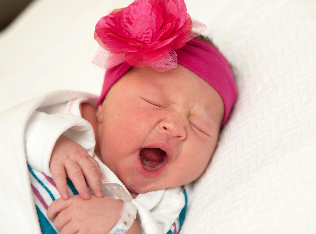 "Family Portrait Photography, Albany, NY", "Newborn Portraits", "Newborn Photography"