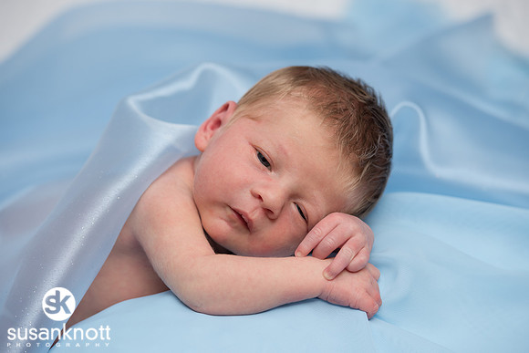 Newborn portraits, Albany, NY-Rohan