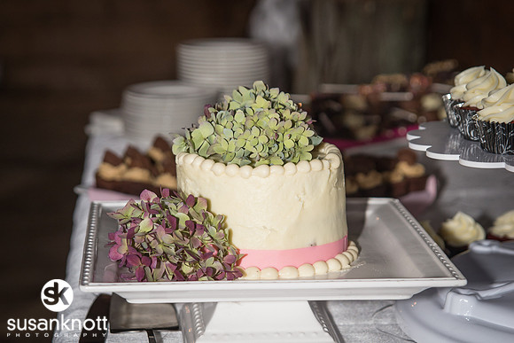 Wedding Photography, Saratoga, NY-Mansion Inn