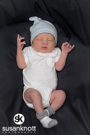 Newborn portraits, Albany, NY-Rohan
