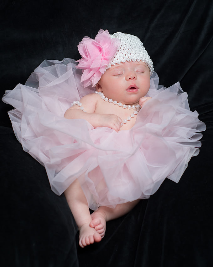 "Wedding Photography, Albany, NY", "Family Portraits", "Engagement Photos", "Senior Portraits", "Commercial Photography"