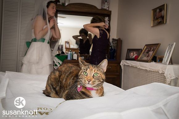 Wedding Photography-Albany-NY-Michaels-Banquet-House