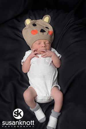 Newborn portraits, Albany, NY-Rohan