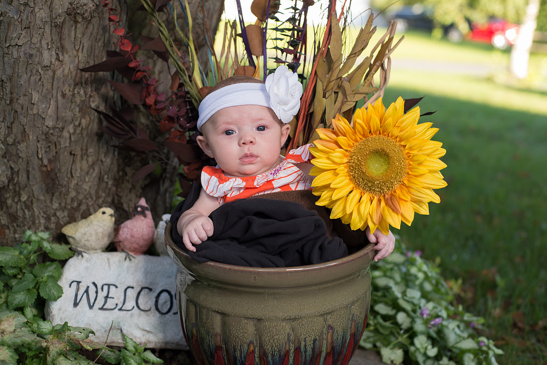 "Wedding Photography, Albany, NY", "Family Portraits", "Engagement Photos", "Senior Portraits", "Commercial Photography"