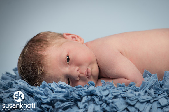 Newborn portraits, Albany, NY-Rohan