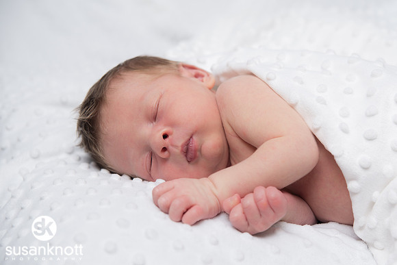 Newborn portraits, Albany, NY-Rohan