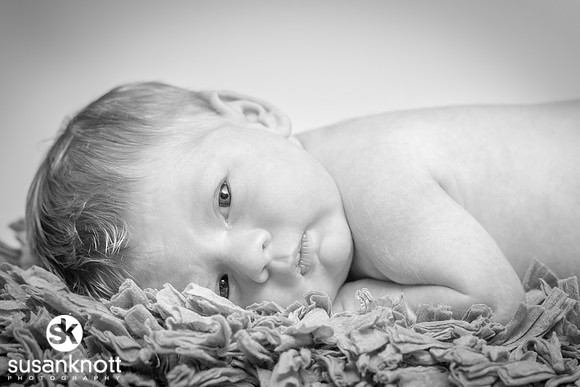 Newborn portraits, Albany, NY-Rohan