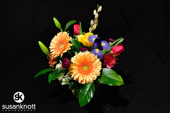 Commercial Photography, Albany, NY