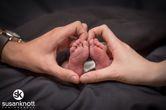 Newborn portraits, Albany, NY-Rohan