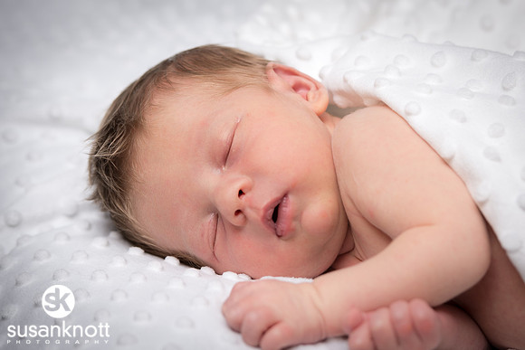 Newborn portraits, Albany, NY-Rohan