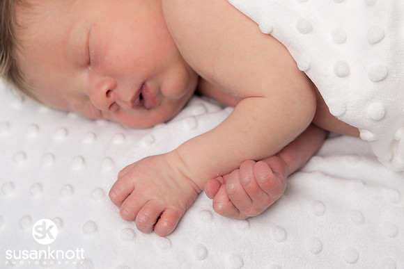 Newborn portraits, Albany, NY-Rohan
