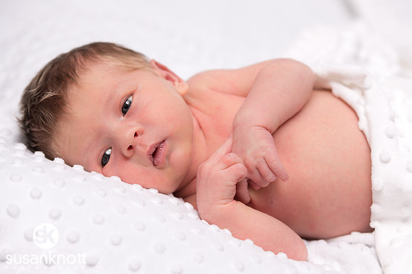 Newborn portraits, Albany, NY-Rohan