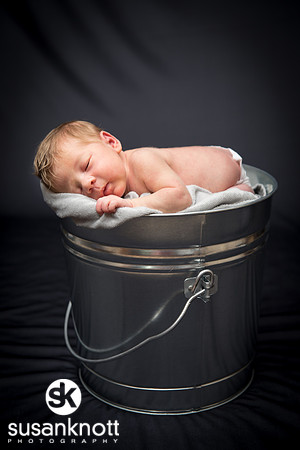 Newborn portraits, Albany, NY-Rohan