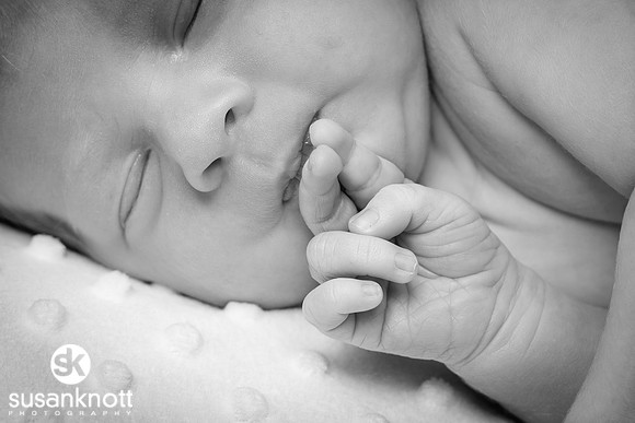 Newborn portraits, Albany, NY-Rohan
