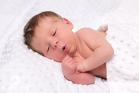 Newborn portraits, Albany, NY-Rohan
